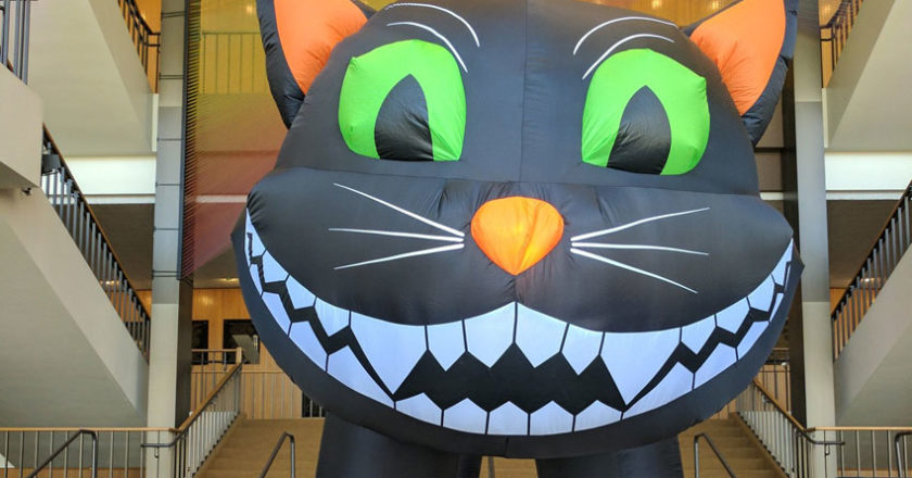 Black cat inflatable from Midsummer Scream