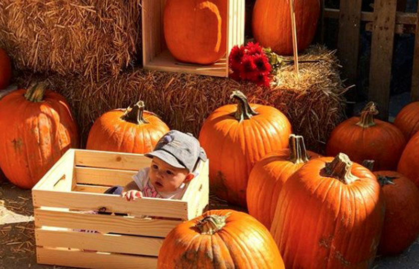 Baby in a crate at the Haunted Little Tokyo Pumpkin Patch