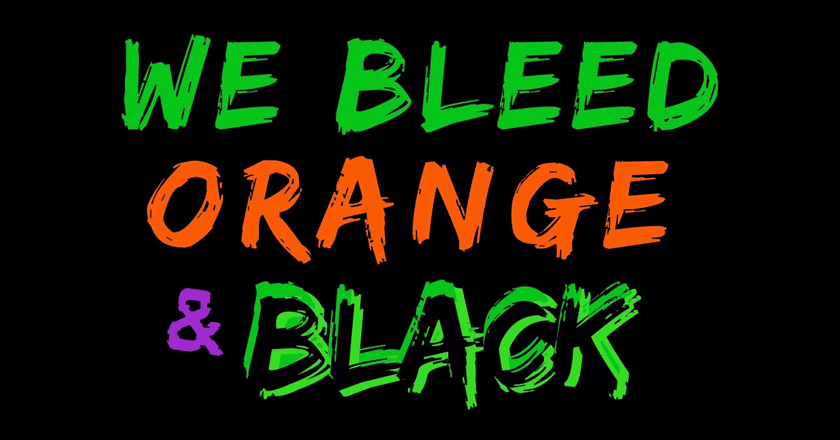 We Bleed Orange & Black