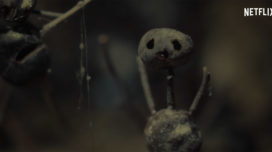 Figure made of chestnuts and sticks