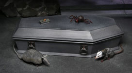 Universal Monsters Dracula Accessory Pack