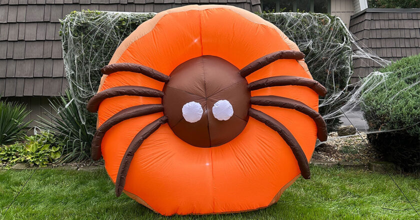 Dunkin Spider Donut Inflatable