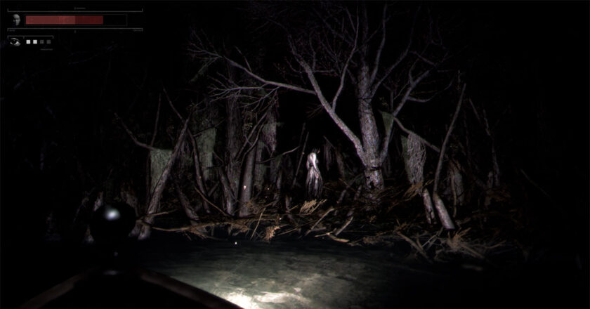 A boat shines the light on a woman in the woods at night