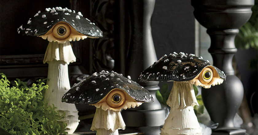 Peeking Mushrooms